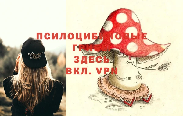 прущий лед Алексин