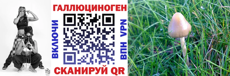 omg маркетплейс  Черепаново  Галлюциногенные грибы MAGIC MUSHROOMS 